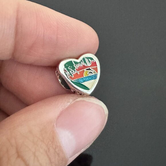 Pandora Florida Exclusive Charm - Picture 1 of 8